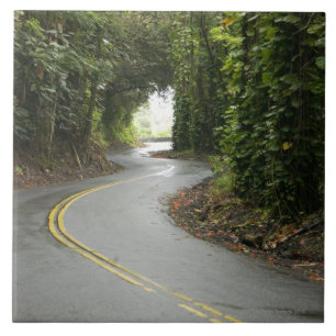 Winding roads through rainforest, Island of Tile