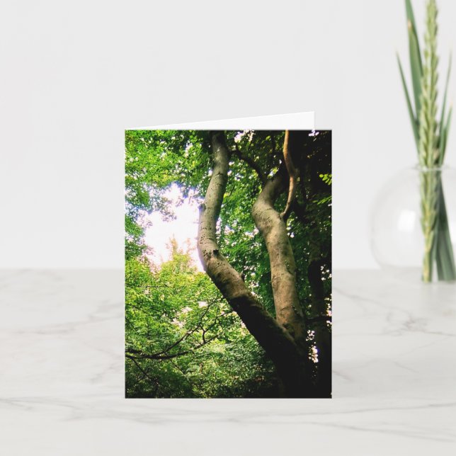 Winding tree card (Front)