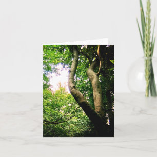 Winding tree card