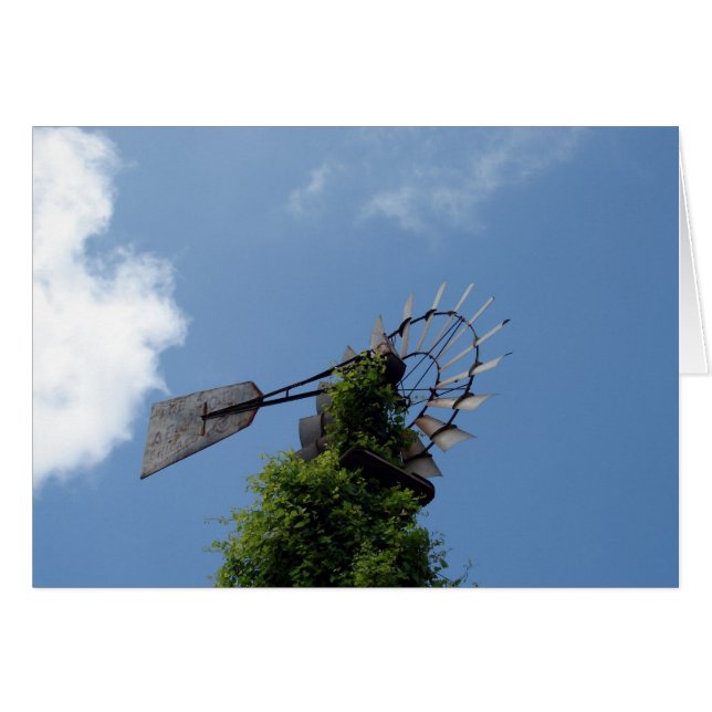 Windmill (Front Horizontal)