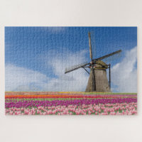 Windmill And Colorful Tulips Amsterdam Netherlands