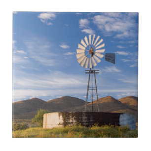 Windmill And Dam In The Karoo At Sunrise Tile