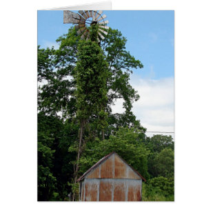 Windmill and Shed