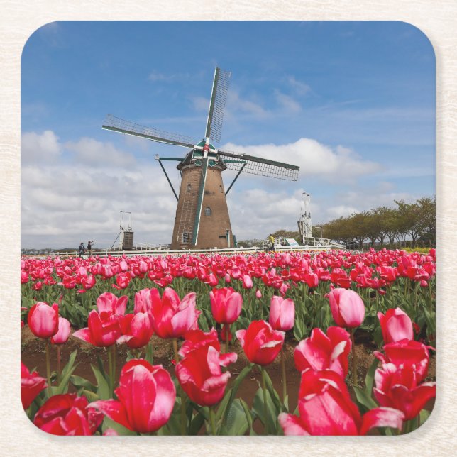 Windmill and Tulips Coaster (Front)