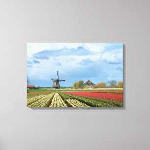 Windmill and tulips landscape canvas print