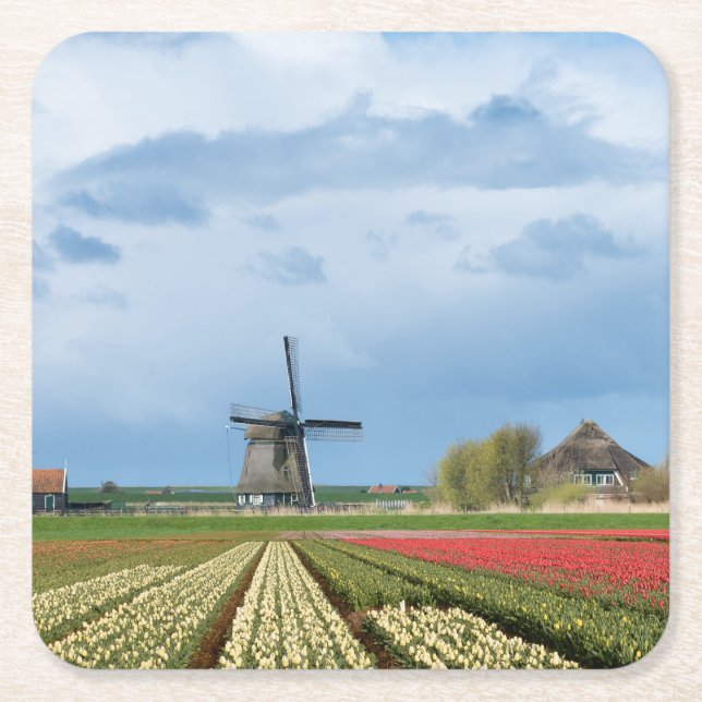 Windmill and tulips landscape coaster (Front)