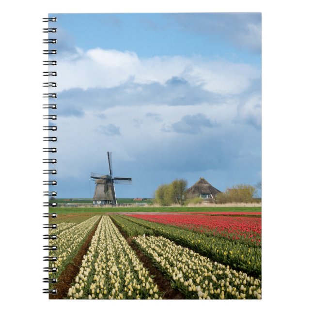 Windmill and tulips landscape notebook (Front)