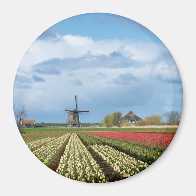 Windmill and tulips landscape round magnet (Front)