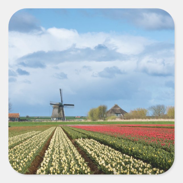 Windmill and tulips landscape sticker (Front)
