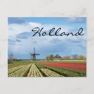 Windmill and tulips landscape text postcard