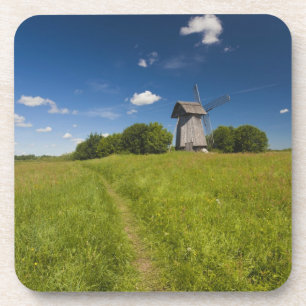 Windmill at Mikhailovskoye Coaster