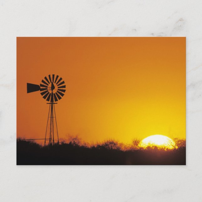 Windmill at sunset, Sinton, Texas, USA Postcard (Front)
