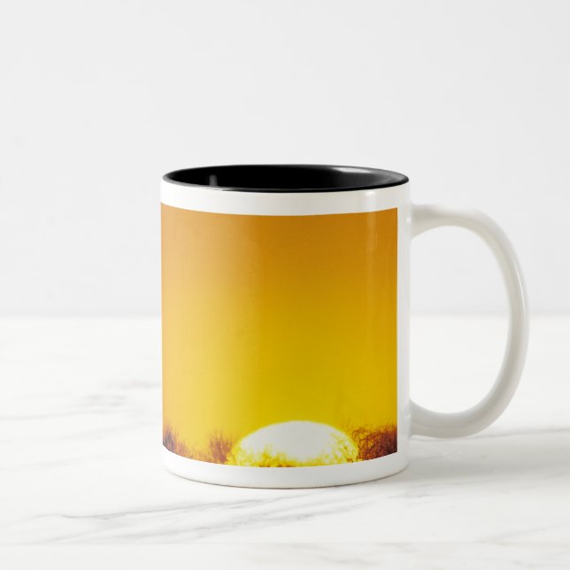 Windmill at sunset, Sinton, Texas, USA Two-Tone Coffee Mug (Right)