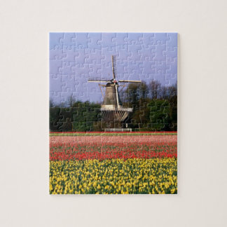 Windmill in the bulb fields jigsaw puzzle