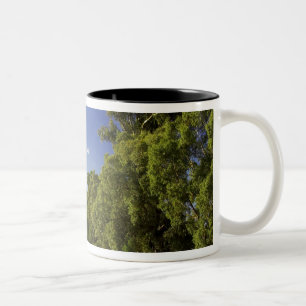 Windmill near Hume Highway, Victoria, Australia Two-Tone Coffee Mug
