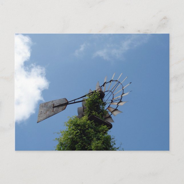 Windmill Postcard (Front)