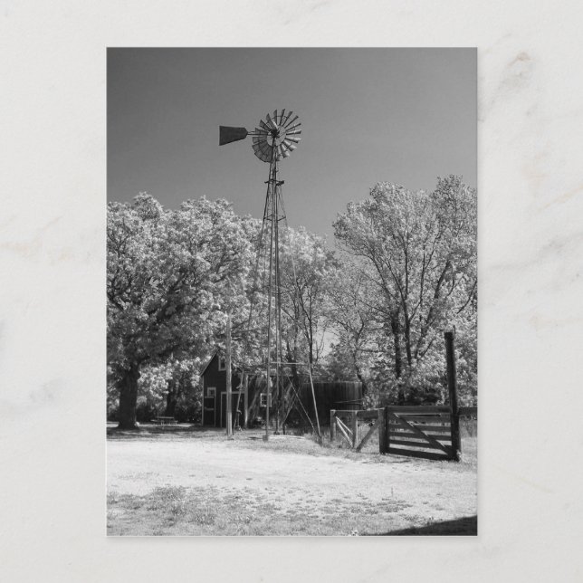 Windmill Postcard (Front)