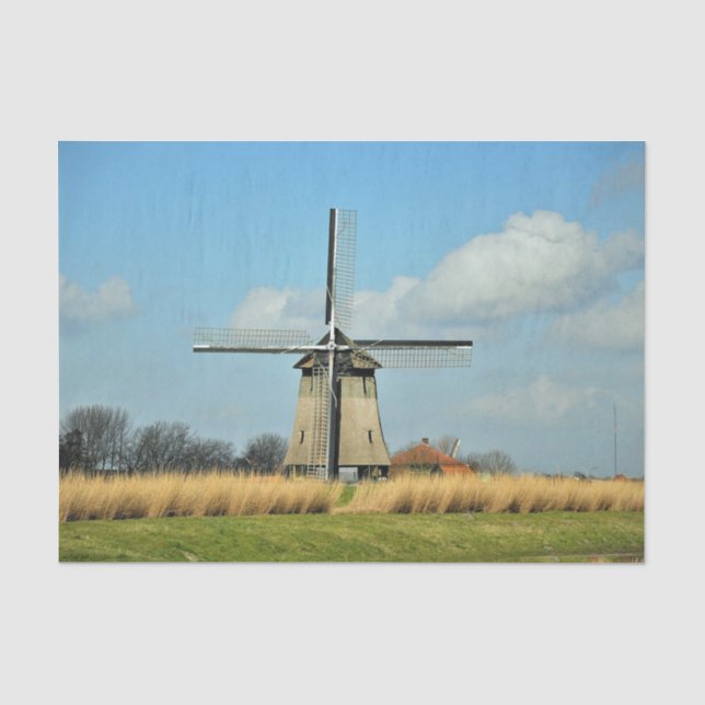 Windmill Tissue Paper (Front)