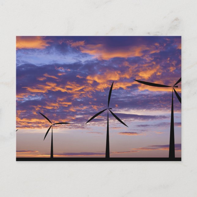 Windmill Turbine at Sunset Postcard (Front)