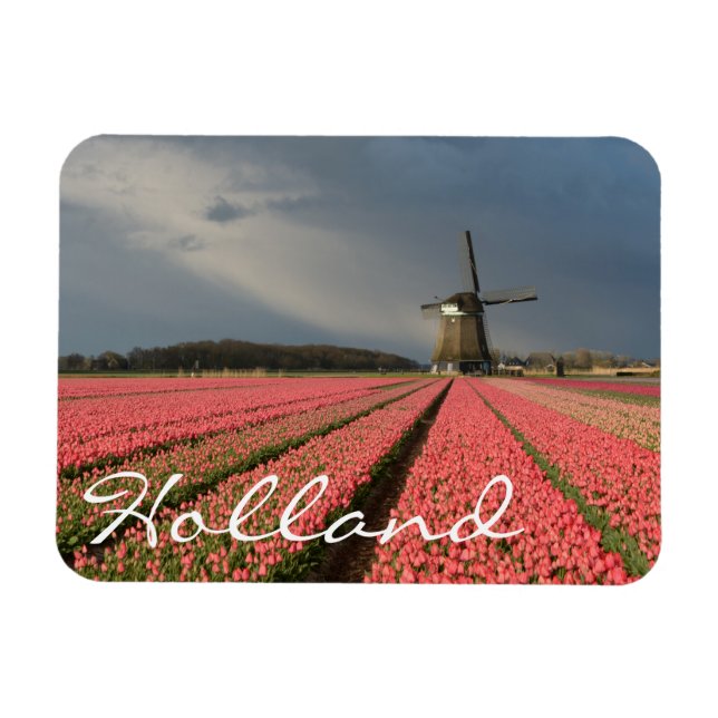 Windmill with pink tulips in spring magnet (Horizontal)