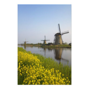 Windmills along the canal in Kinderdijk, Photo Print