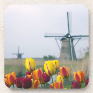 Windmills and tulips along the canal in coaster