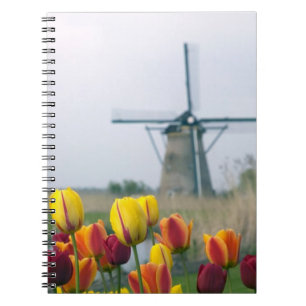 Windmills and tulips along the canal in spiral notebook