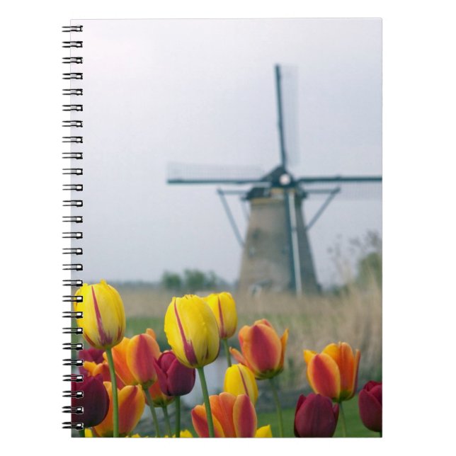 Windmills and tulips along the canal in spiral notebook (Front)
