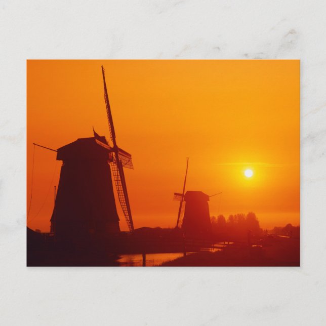 Windmills at sunset, Schermerhorn, Netherlands Postcard (Front)