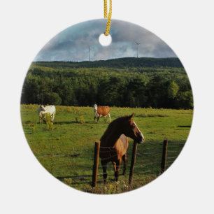 Windmills in the Distance Ceramic Tree Decoration