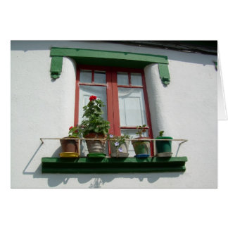 Window