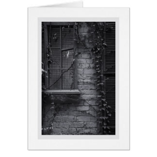 Window #23