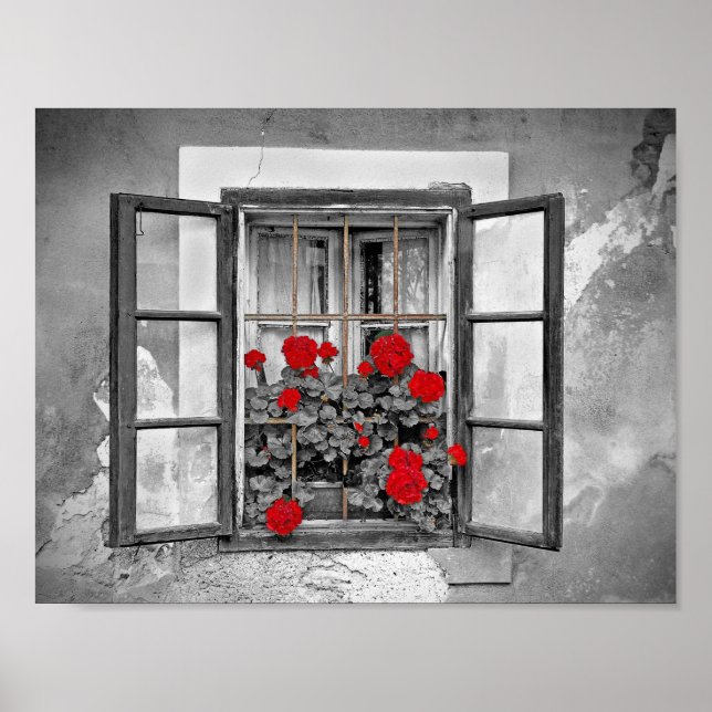 window-477937 window house black and white flowers poster (Front)