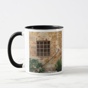 Window and ancient stone wall, Pienza, Italy Mug