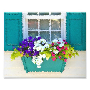 Window Box By The Sea Photo Print