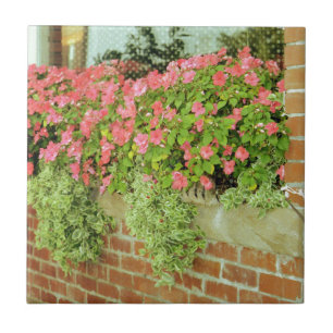 Window Box Flowers Tile