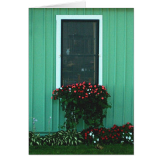 Window box of Impatients