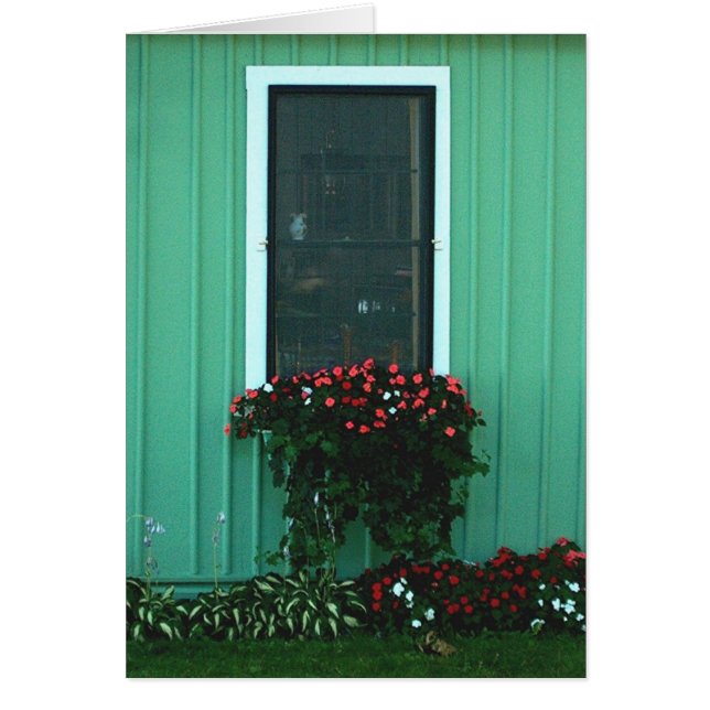 Window box of Impatients (Front)