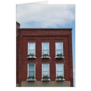 Window Boxes