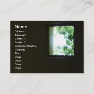 Window Business Card