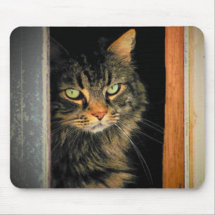 Window Cat Mouse Pad