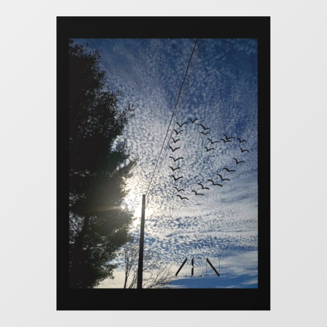 Window Cling (Sheet)