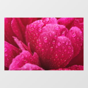 Window Cling - Peony Flower After The Rain
