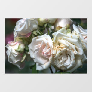 Window Cling - White Roses In Bloom Photography