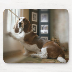 Window dog mouse pad