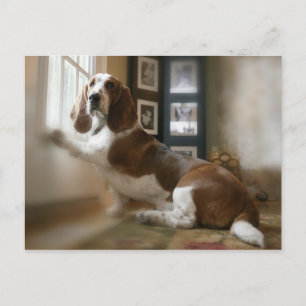 Window dog postcard
