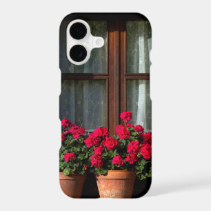 Window flower pots in village
