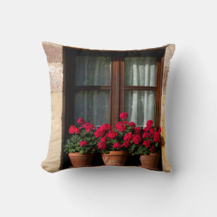 Window flower pots in village cushion