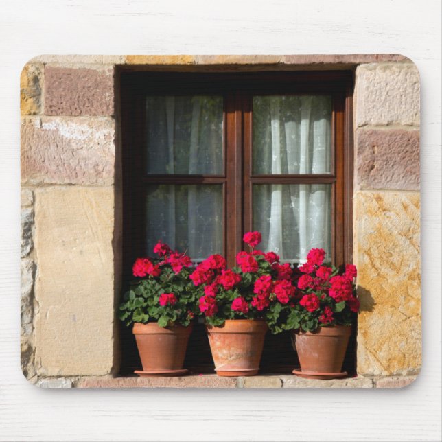 Window flower pots in village mouse pad (Front)