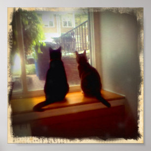 Window Gazing Kitties Poster